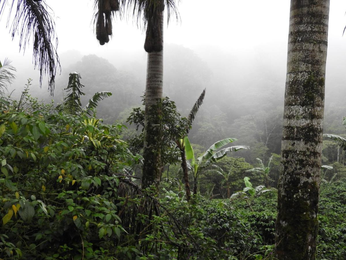 Ecolodge Luna Del Rio El Castillo de La Concepción 外观 照片